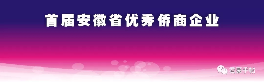 035.webp.jpg